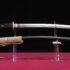 Modern Tactical Wakizashi Sword – 5160 Spring Steel Blade