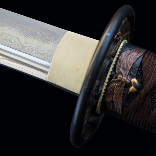 Dragonfly Folded Steel Katana