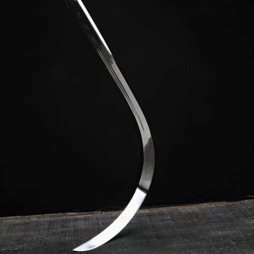 Tai Chi Dao Chinese Martial Arts Stainless Sword