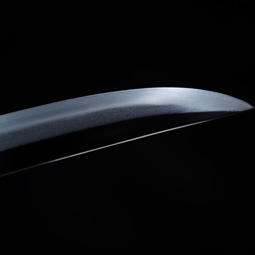 Shishi Shobu Zukuri Wakizashi