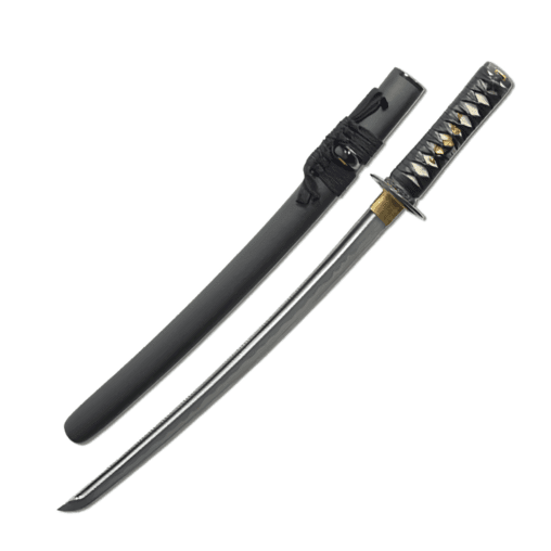 Musashi Wakizashi with Leather Tsuka-Ito
