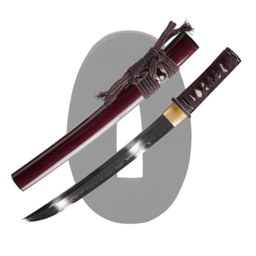 Shobu Zukuri Tanto Sword Short Katana T10 Steel Handmade
